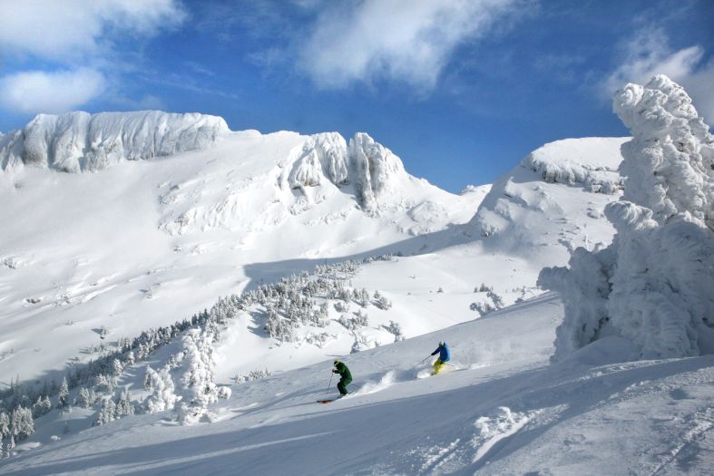 Freeride