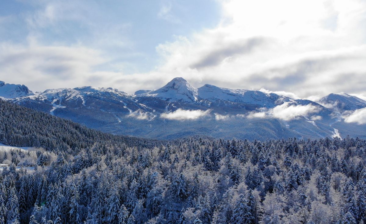 Notre domaine Villard-Corrençon